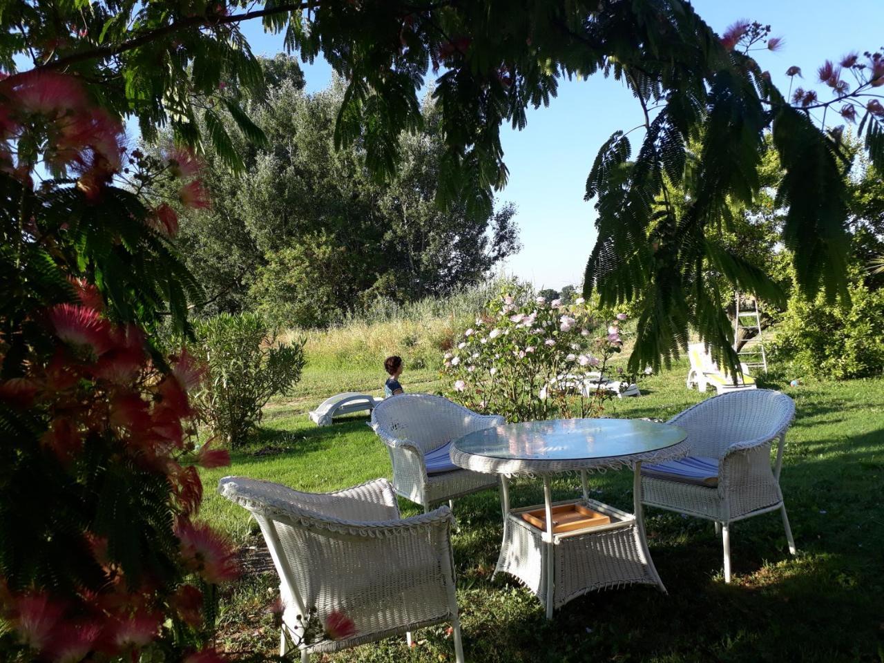 Aux Roses De L'Etang Hotel กาเปสตอง ภายนอก รูปภาพ