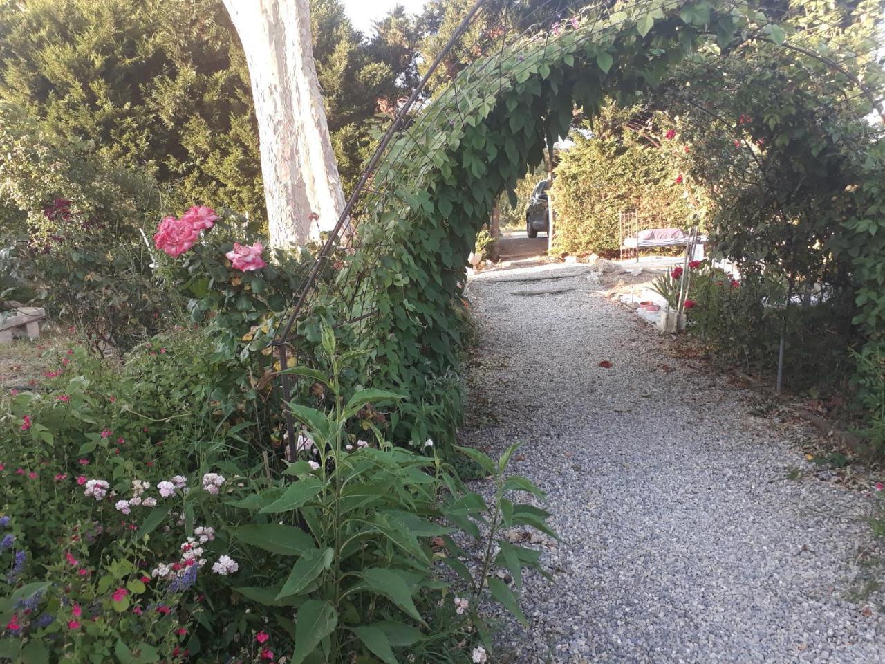 Aux Roses De L'Etang Hotel กาเปสตอง ภายนอก รูปภาพ