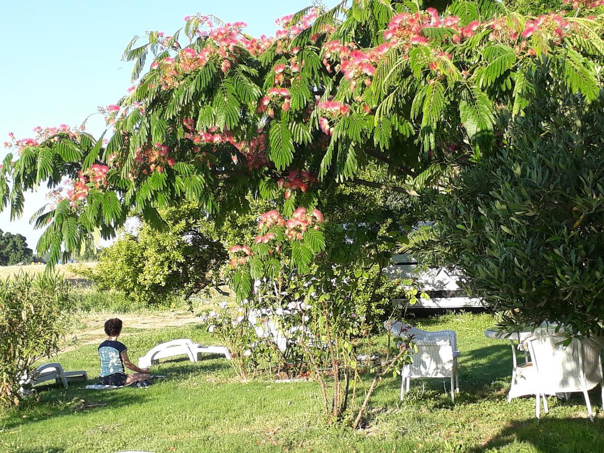 Aux Roses De L'Etang Hotel กาเปสตอง ภายนอก รูปภาพ