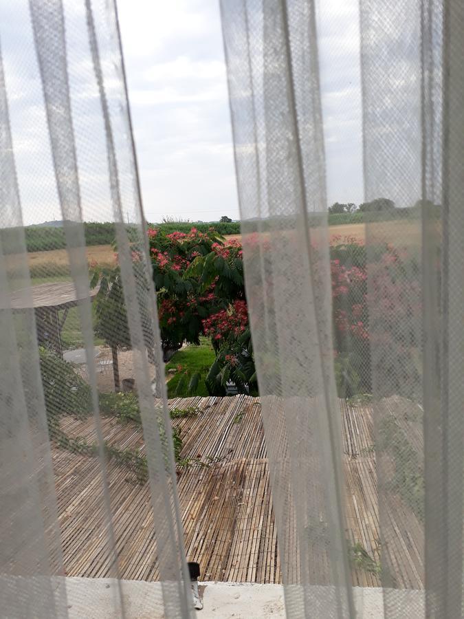 Aux Roses De L'Etang Hotel กาเปสตอง ภายนอก รูปภาพ
